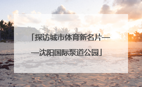 探访城市体育新名片——沈阳国际泵道公园