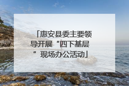 惠安县委主要领导开展“四下基层”现场办公活动