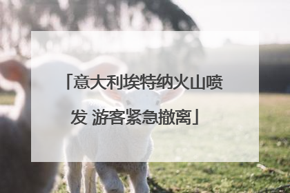 意大利埃特纳火山喷发 游客紧急撤离