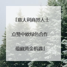 意大利商界人士点赞中欧绿色合作蕴藏黄金机遇