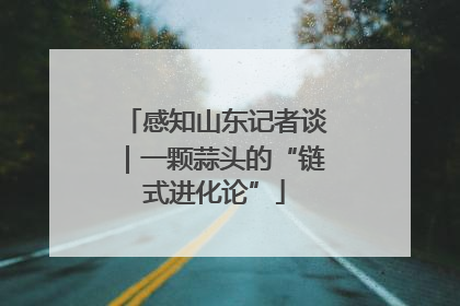 感知山东记者谈｜一颗蒜头的“链式进化论”