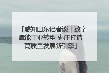 感知山东记者谈｜数字赋能工业转型 枣庄打造高质量发展新引擎
