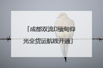 成都双流⇌缅甸仰光全货运航线开通