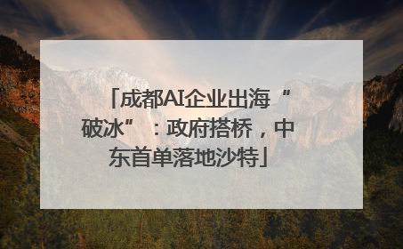成都AI企业出海“破冰”：政府搭桥，中东首单落地沙特
