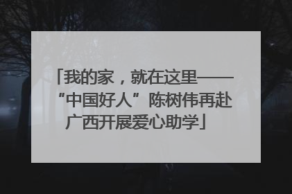 我的家，就在这里——“中国好人”陈树伟再赴广西开展爱心助学