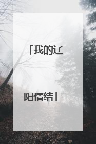 我的辽阳情结