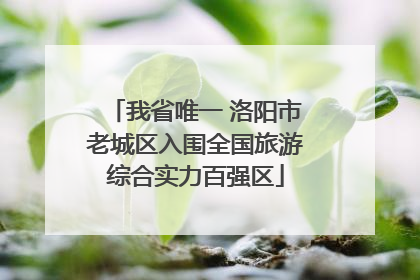 我省唯一 洛阳市老城区入围全国旅游综合实力百强区