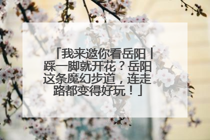 我来邀你看岳阳丨踩一脚就开花？岳阳这条魔幻步道，连走路都变得好玩！
