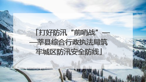 打好防汛“前哨战”——莘县综合行政执法局筑牢城区防汛安全防线