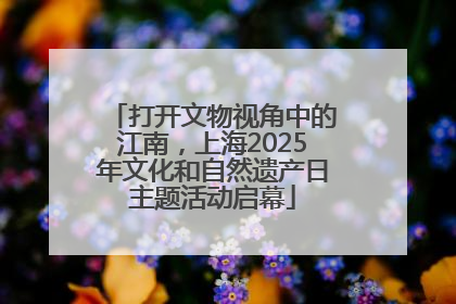 打开文物视角中的江南，上海2025年文化和自然遗产日主题活动启幕