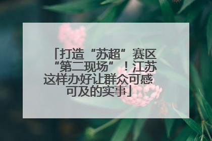 打造“苏超”赛区“第二现场”！江苏这样办好让群众可感可及的实事