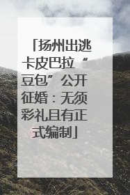 扬州出逃卡皮巴拉“豆包”公开征婚：无须彩礼且有正式编制