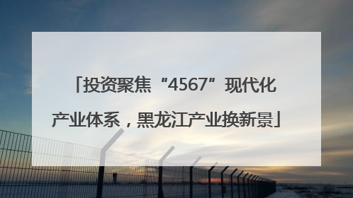 投资聚焦“4567”现代化产业体系，黑龙江产业换新景
