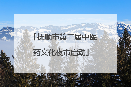 抚顺市第二届中医药文化夜市启动