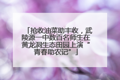 抢收油菜助丰收，武陵源一中数百名师生在黄龙洞生态田园上演“青春助农记”