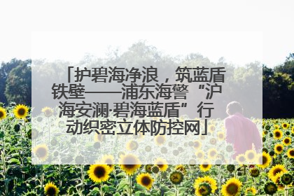 护碧海净浪，筑蓝盾铁壁——浦东海警“沪海安澜·碧海蓝盾”行动织密立体防控网