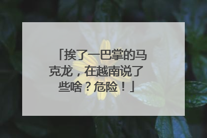 挨了一巴掌的马克龙，在越南说了些啥？危险！
