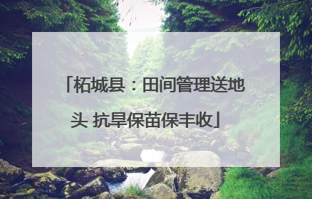 柘城县：田间管理送地头 抗旱保苗保丰收