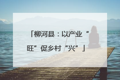柳河县：以产业“旺”促乡村“兴”
