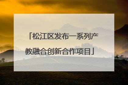 松江区发布一系列产教融合创新合作项目