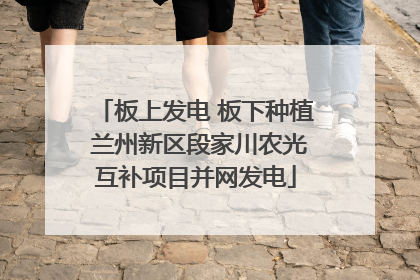板上发电 板下种植 兰州新区段家川农光互补项目并网发电