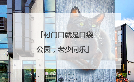 村门口就是口袋公园，老少同乐
