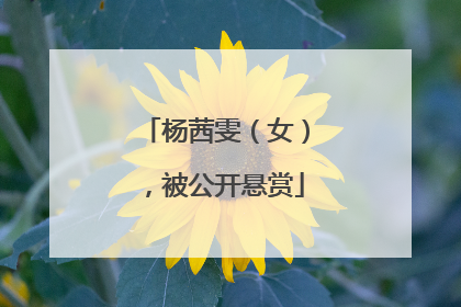 杨茜雯（女），被公开悬赏