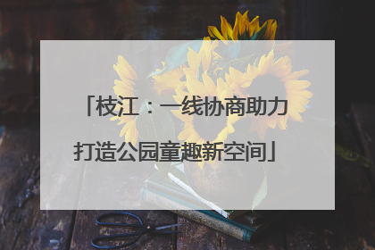 枝江：一线协商助力打造公园童趣新空间