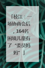 枝江：一场协商会后，164名困境儿童有了“委员妈妈”