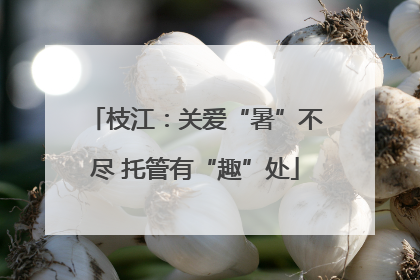 枝江：关爱“暑”不尽 托管有“趣”处