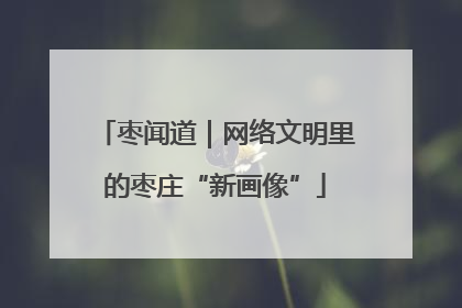 枣闻道｜网络文明里的枣庄“新画像”
