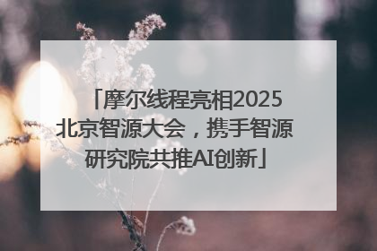 摩尔线程亮相2025北京智源大会，携手智源研究院共推AI创新