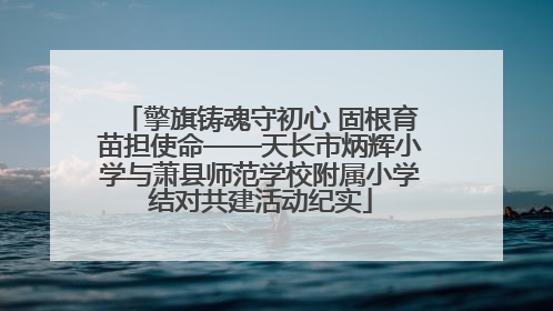 擎旗铸魂守初心 固根育苗担使命——天长市炳辉小学与萧县师范学校附属小学结对共建活动纪实
