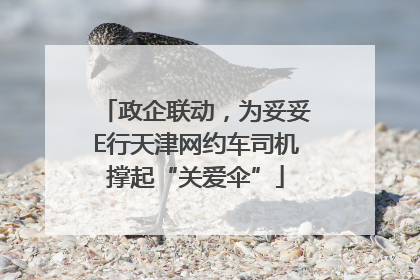 政企联动，为妥妥E行天津网约车司机撑起“关爱伞”