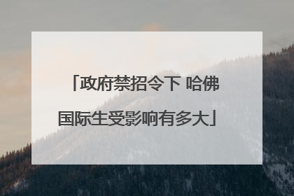 政府禁招令下 哈佛国际生受影响有多大