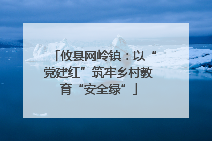 攸县网岭镇：以“党建红”筑牢乡村教育“安全绿”
