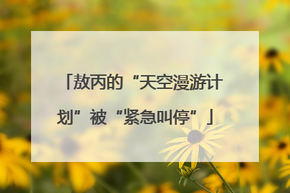 敖丙的“天空漫游计划”被“紧急叫停”