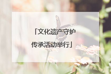 文化遗产守护传承活动举行