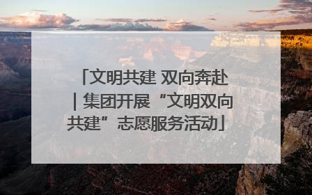 文明共建 双向奔赴｜集团开展“文明双向共建”志愿服务活动