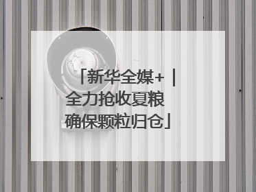 新华全媒+｜全力抢收夏粮 确保颗粒归仓