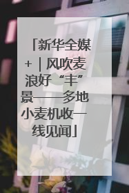 新华全媒+｜风吹麦浪好“丰”景——多地小麦机收一线见闻