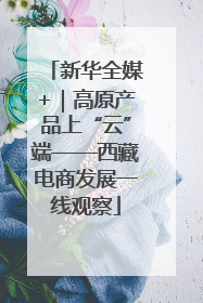 新华全媒+｜高原产品上“云”端——西藏电商发展一线观察