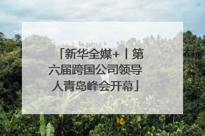 新华全媒+丨第六届跨国公司领导人青岛峰会开幕