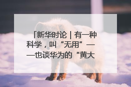 新华时论｜有一种科学，叫“无用”——也谈华为的“黄大年茶思屋”