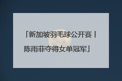 新加坡羽毛球公开赛丨陈雨菲夺得女单冠军