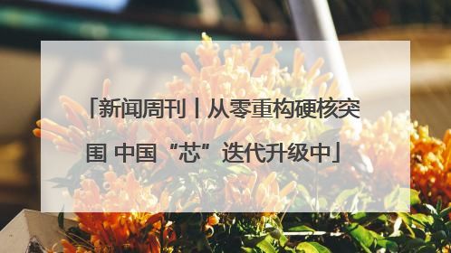 新闻周刊丨从零重构硬核突围 中国“芯”迭代升级中