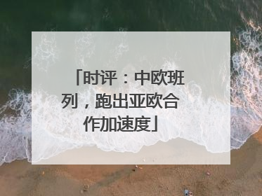 时评：中欧班列，跑出亚欧合作加速度