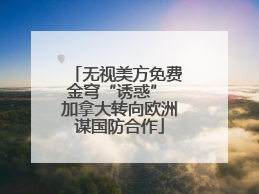 无视美方免费金穹“诱惑” 加拿大转向欧洲谋国防合作
