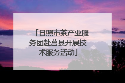 日照市茶产业服务团赴莒县开展技术服务活动