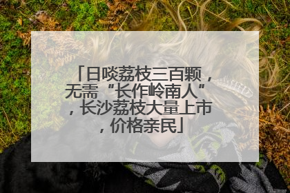 日啖荔枝三百颗，无需“长作岭南人”，长沙荔枝大量上市，价格亲民